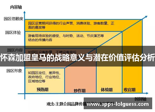 怀森加盟皇马的战略意义与潜在价值评估分析
