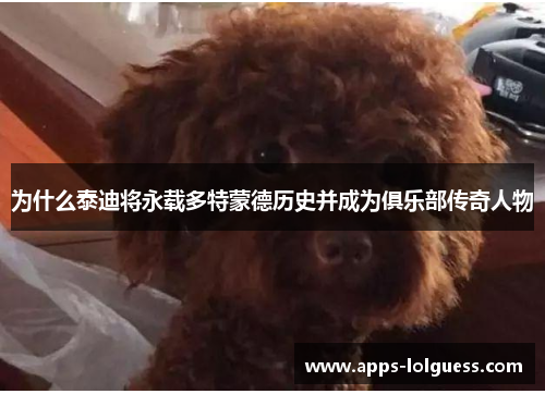 为什么泰迪将永载多特蒙德历史并成为俱乐部传奇人物