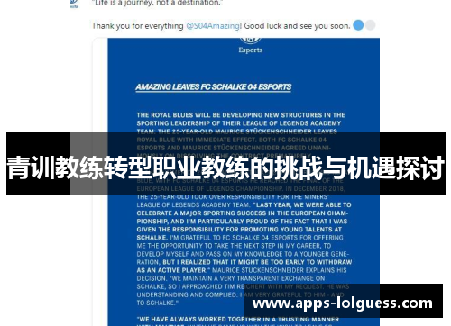 青训教练转型职业教练的挑战与机遇探讨