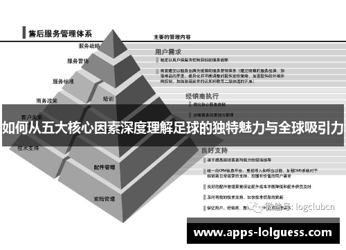 如何从五大核心因素深度理解足球的独特魅力与全球吸引力